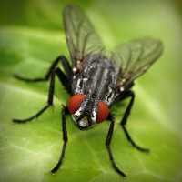 /album/biocultura-com-br/photolia-a01-jpg/