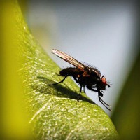 /album/biocultura-com-br/photolia-a04-jpg/